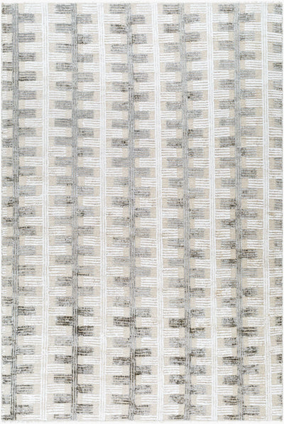 Surya Amina AMA-2302 Handmade Rug
