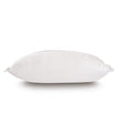 Eastern Accents Amberlynn Horizontal Leaf Decorative Pillow