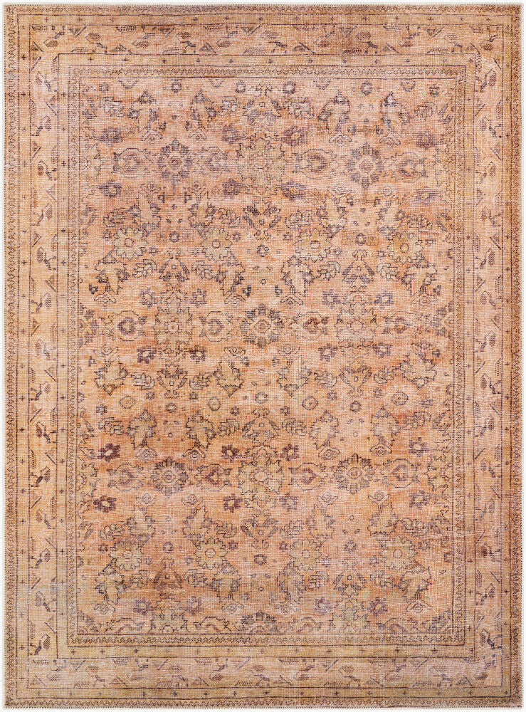 Surya Amelie AML-2338 Machine Woven Rug