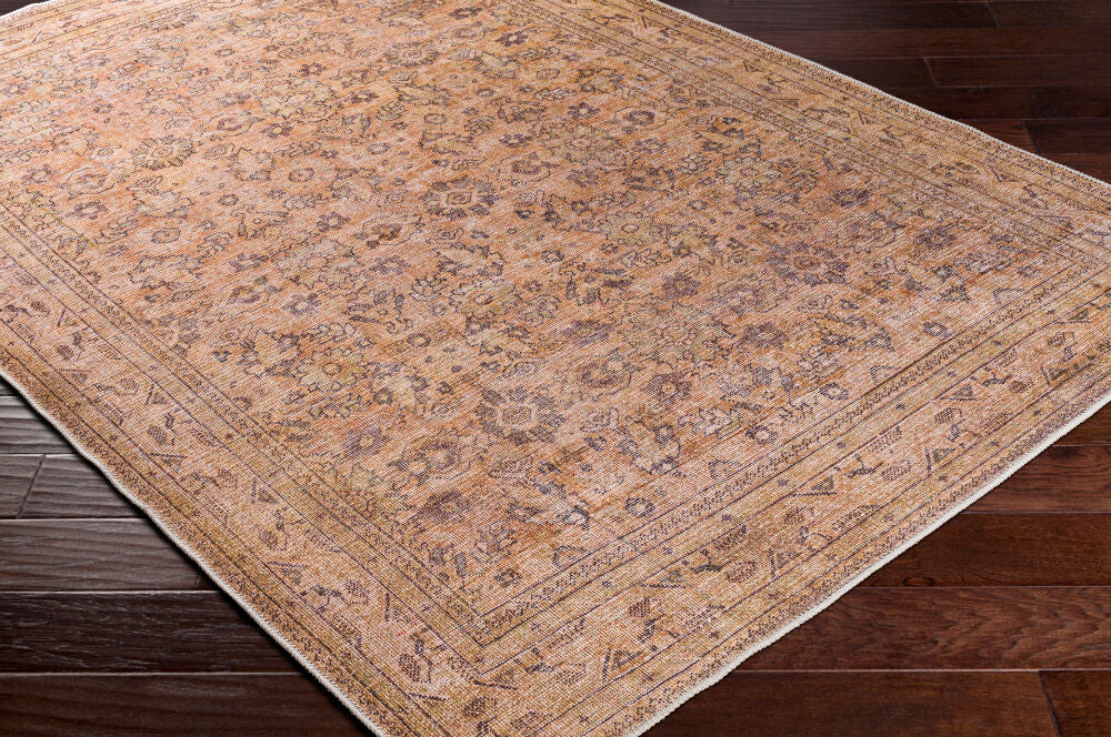 Surya Amelie AML-2338 Machine Woven Rug