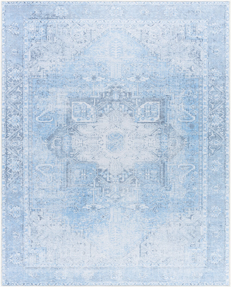 Surya Amelie AML-2362 Machine Woven Rug