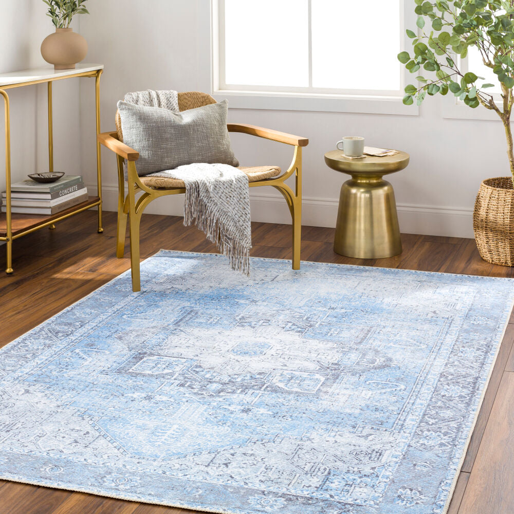 Surya Amelie AML-2362 Machine Woven Rug