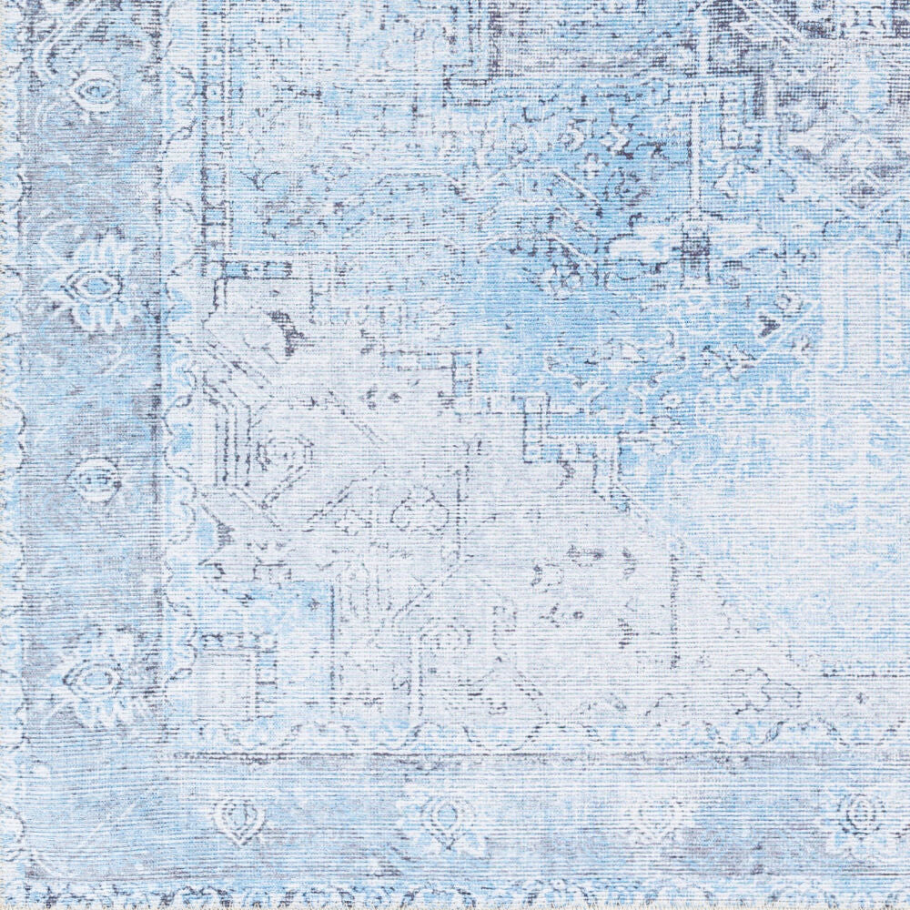 Surya Amelie AML-2362 Machine Woven Rug