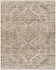 Surya Amelie AML-2383 Machine Woven Rug