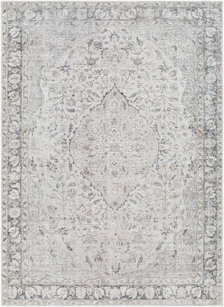Surya Amelie AML-2385 Machine Woven Rug