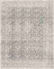 Surya Amelie AML-2387 Machine Woven Rug