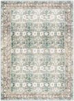 Surya Amelie AML-2396 Machine Woven Rug