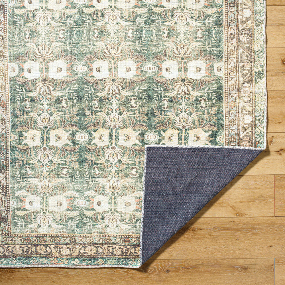Surya Amelie AML-2396 Machine Woven Rug