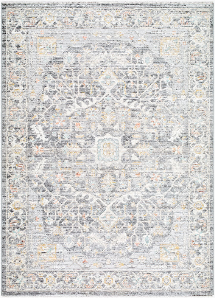 Surya Amir AMR-2303 Machine Woven Rug