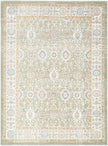 Surya Amir AMR-2306 Machine Woven Rug