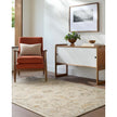 Surya Arnold AOD-2305 Handmade Rug