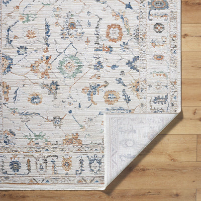 Surya Alston AON-2301 Machine Woven Rug