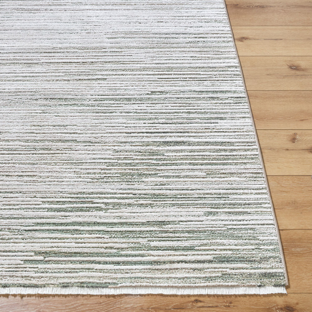 Surya Alston AON-2303 Machine Woven Rug