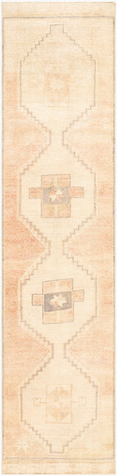 Surya Antique One of a Kind AOOAK-1906 Handmade Rug