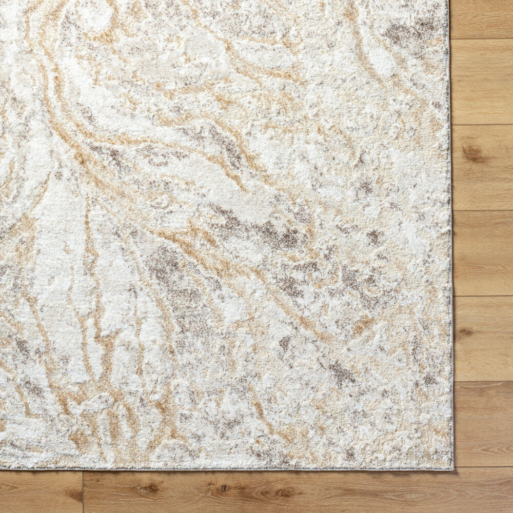 Surya Andorra Plus ARP-2300 Machine Woven Rug