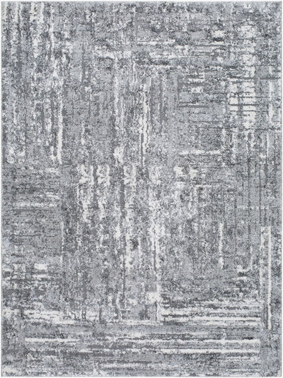 Livabliss by Surya Andorra Plus ARP-2304 Machine Woven Rug Charcoal/Light Gray