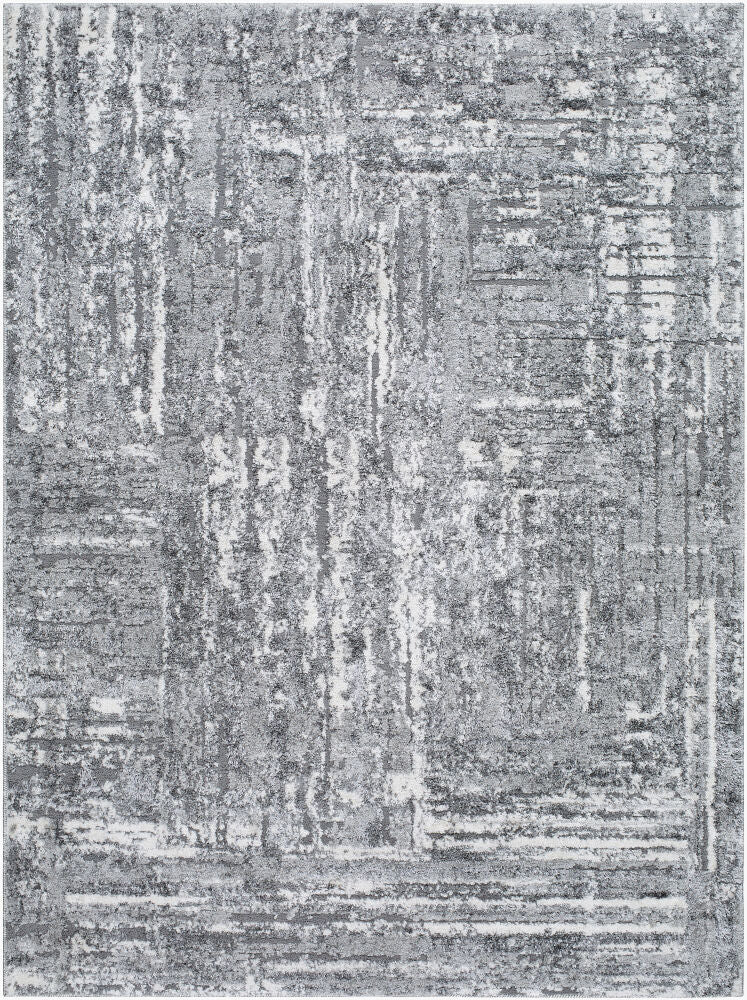 Surya Andorra Plus ARP-2304 Machine Woven Rug Charcoal/Light Gray