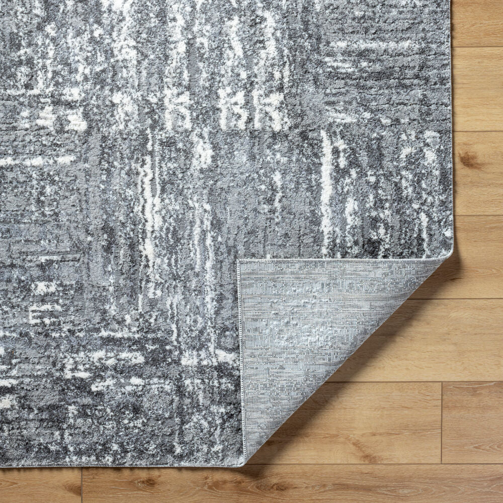 Surya Andorra Plus ARP-2304 Machine Woven Rug Charcoal/Light Gray