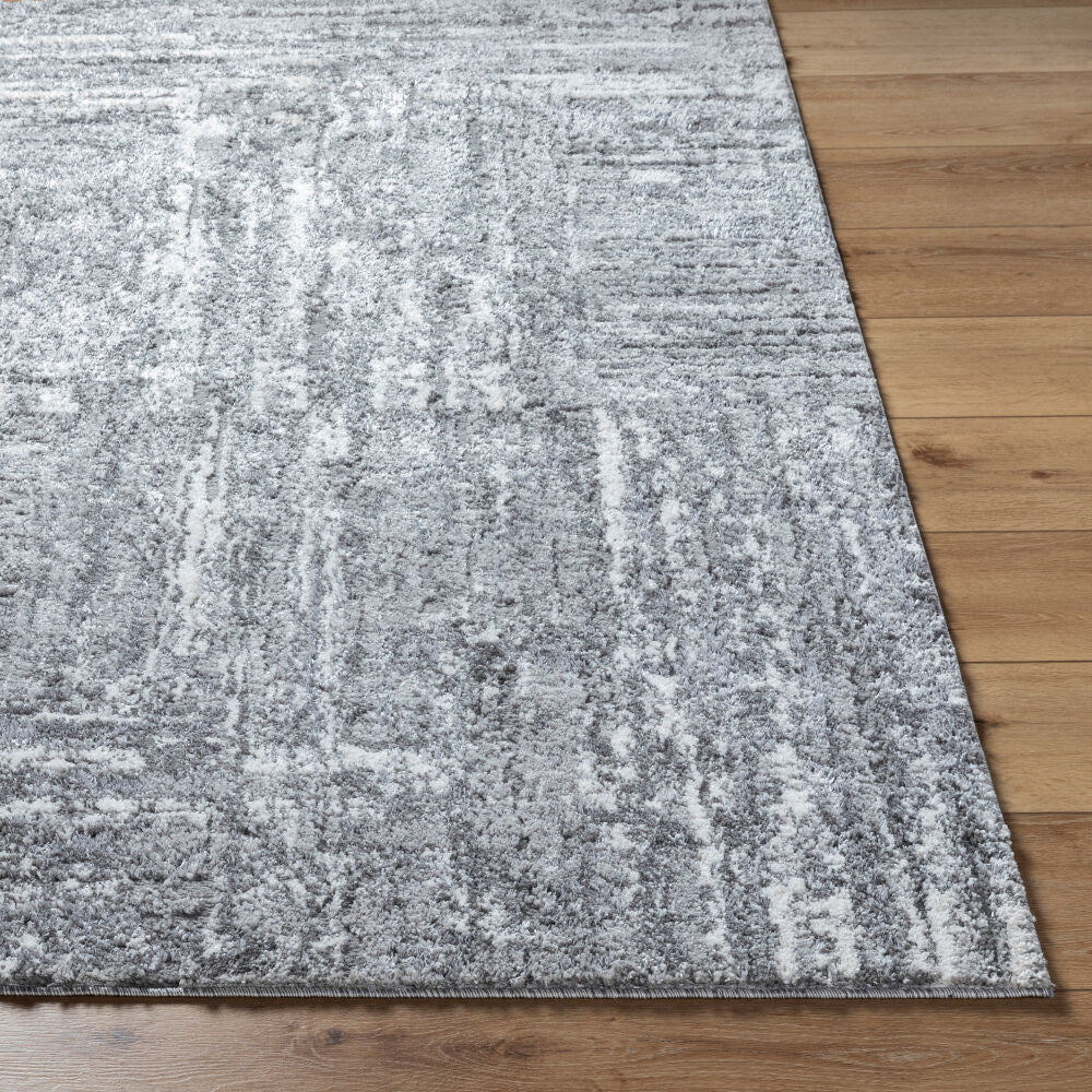 Surya Andorra Plus ARP-2304 Machine Woven Rug Charcoal/Light Gray