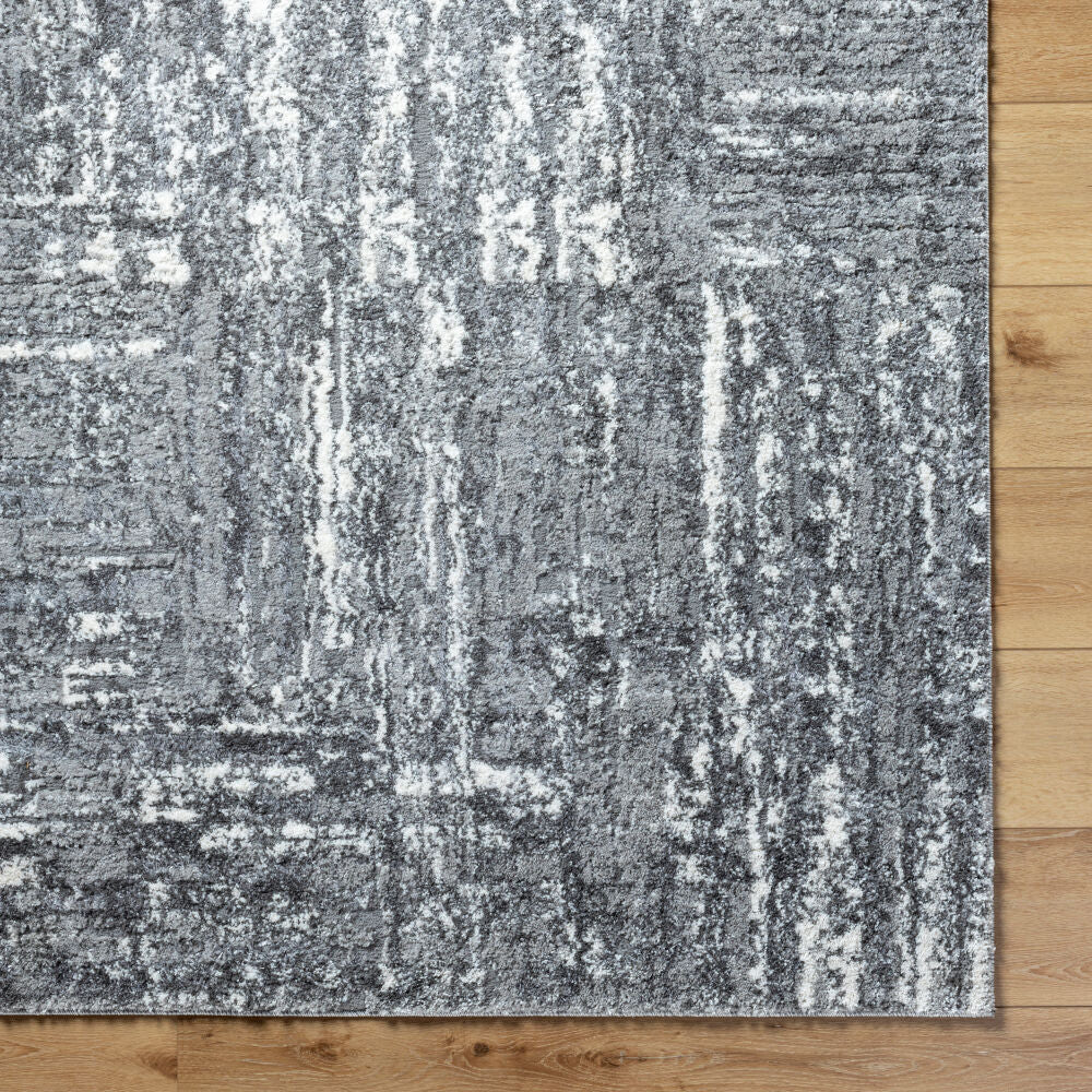 Surya Andorra Plus ARP-2304 Machine Woven Rug Charcoal/Light Gray