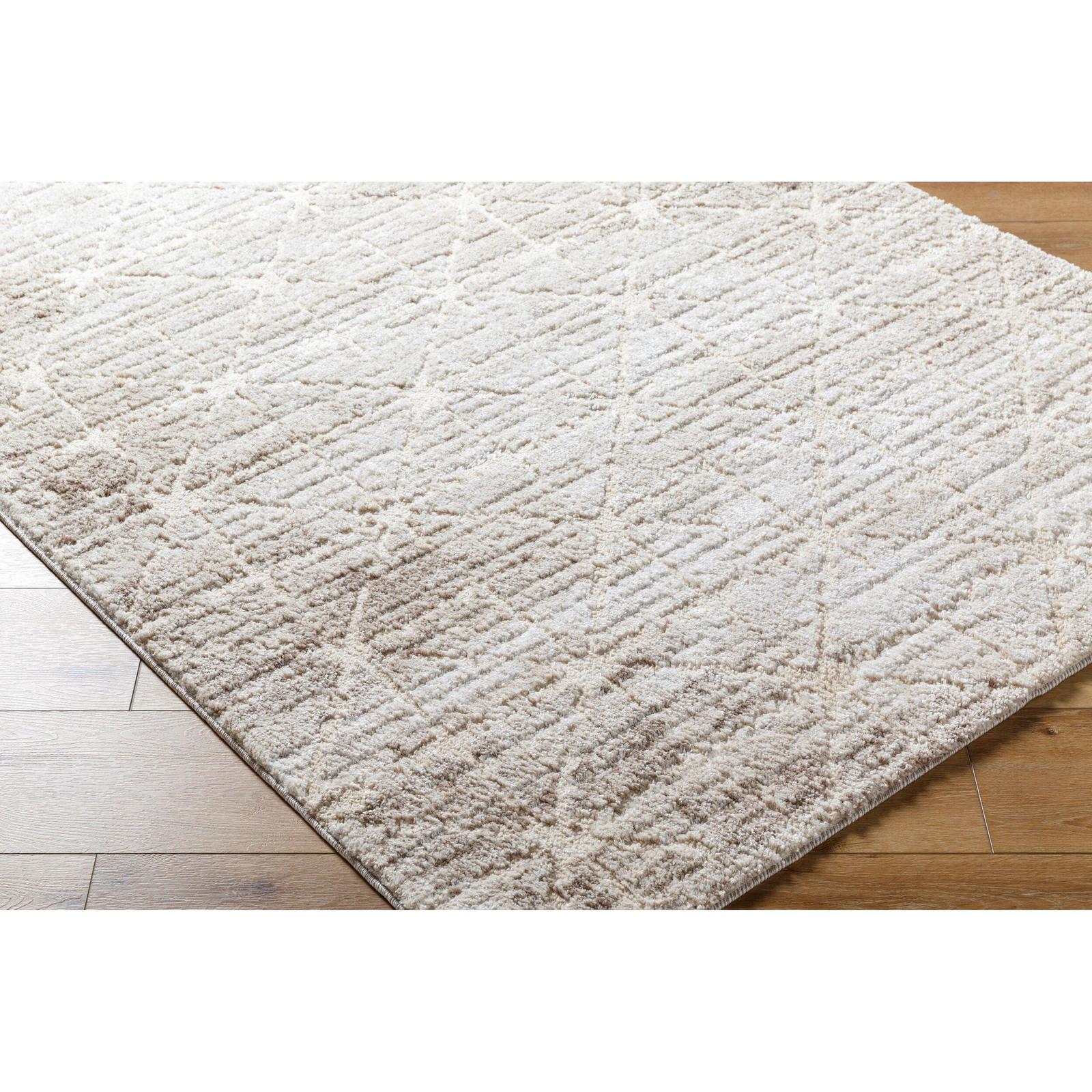 Livabliss by Surya Andorra Plus ARP-2306 Machine Woven Rug