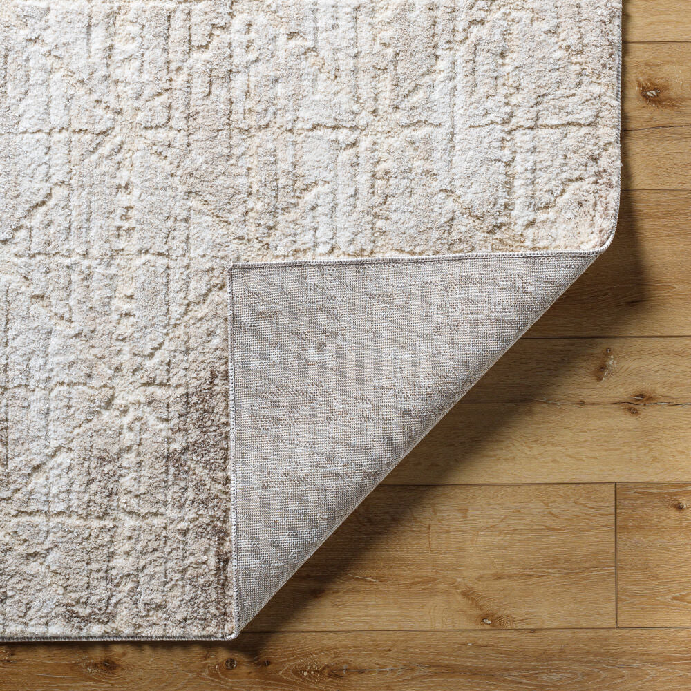 Surya Andorra Plus ARP-2306 Machine Woven Rug