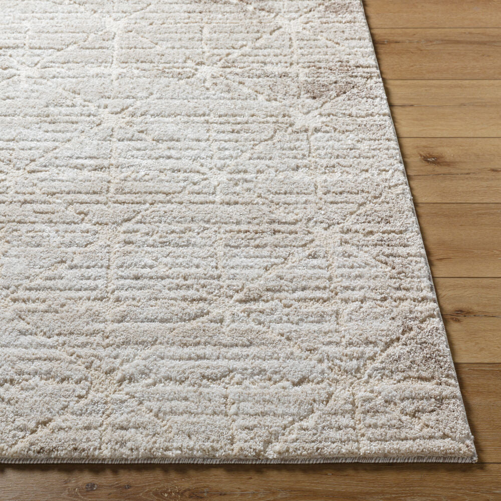 Surya Andorra Plus ARP-2306 Machine Woven Rug