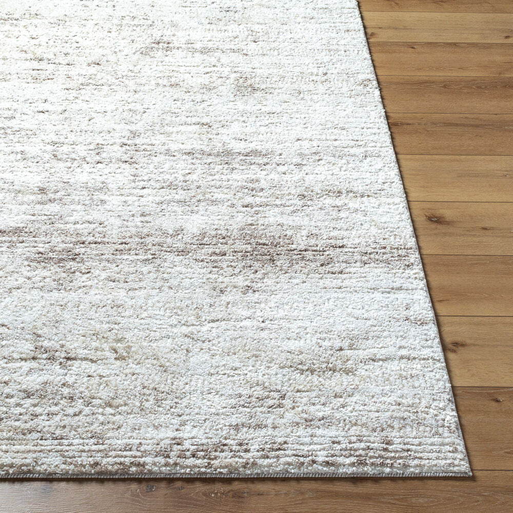 Surya Andorra Plus ARP-2310 Machine Woven Rug