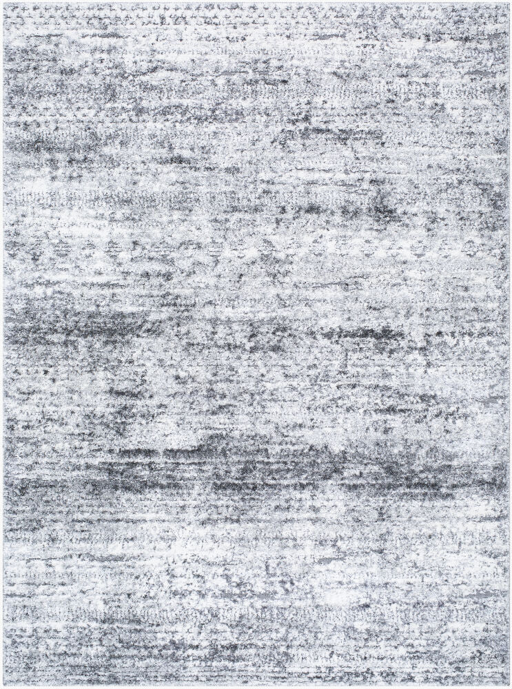 Surya Andorra Plus ARP-2311 Machine Woven Rug