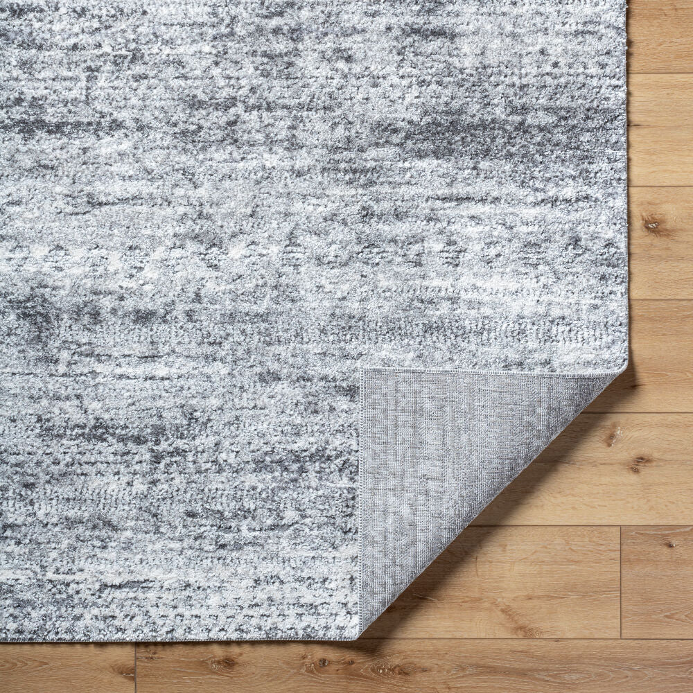 Surya Andorra Plus ARP-2311 Machine Woven Rug
