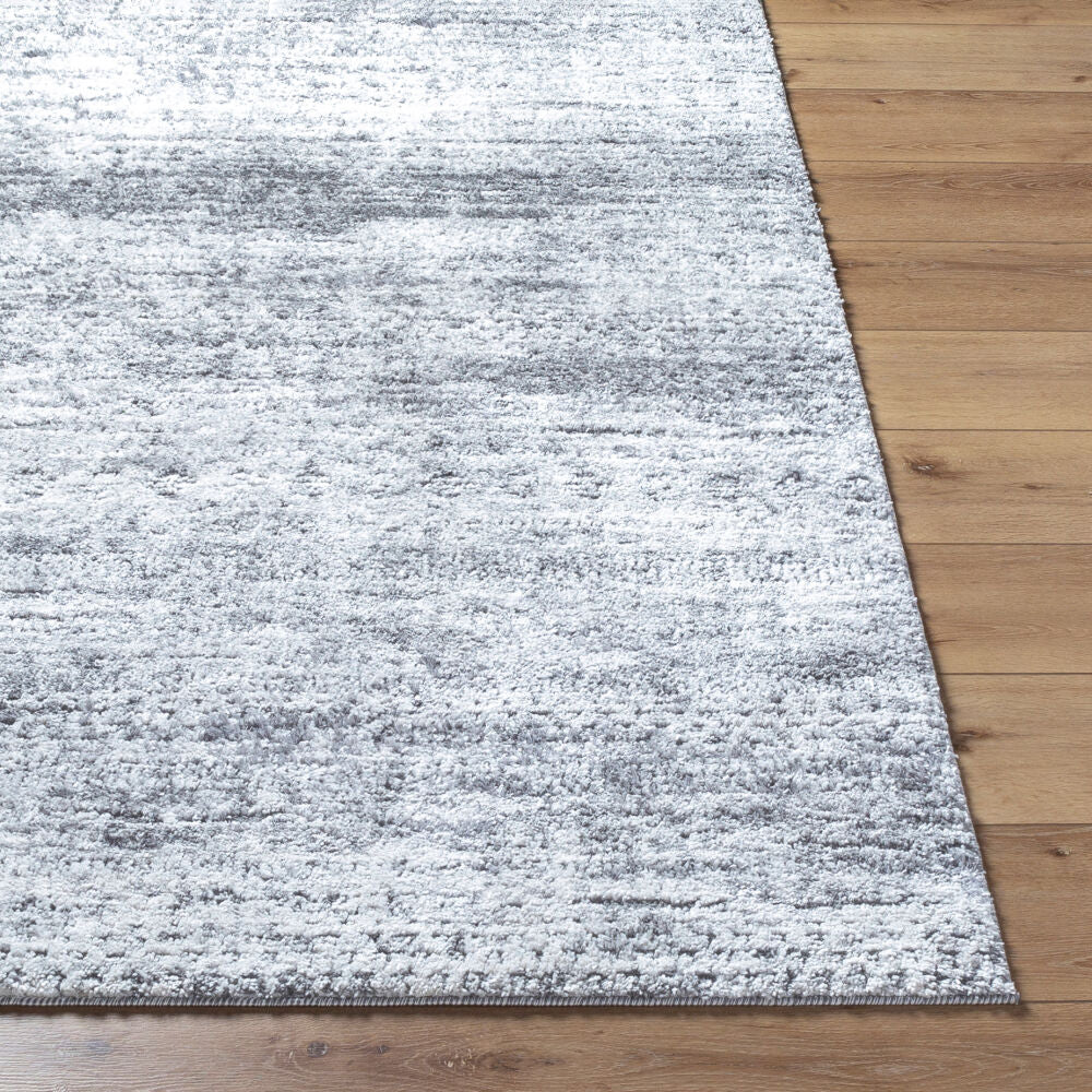 Surya Andorra Plus ARP-2311 Machine Woven Rug