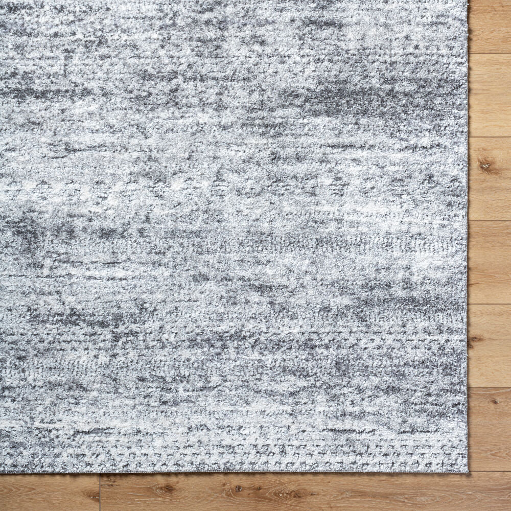 Surya Andorra Plus ARP-2311 Machine Woven Rug