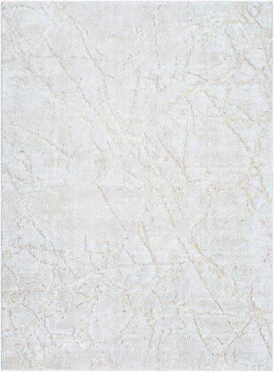 Livabliss by Surya ARP-2312 Andorra Plus Machine Woven Rug
