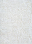Surya Andorra Plus ARP-2312 Machine Woven Rug