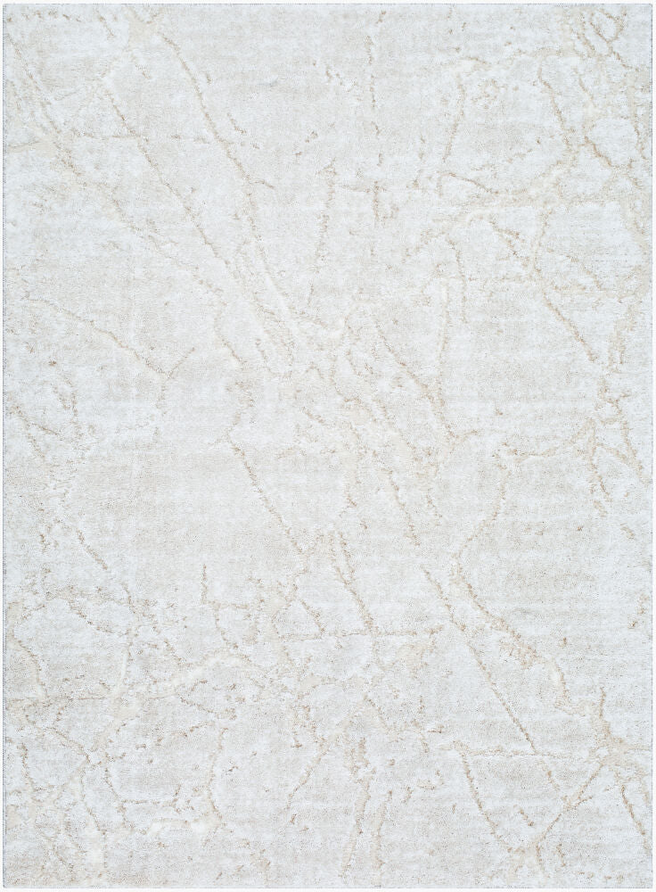 Surya Andorra Plus ARP-2312 Machine Woven Rug