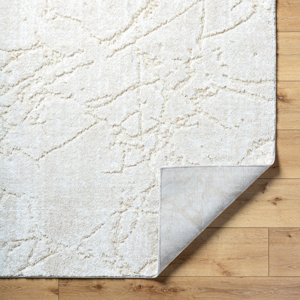 Surya Andorra Plus ARP-2312 Machine Woven Rug