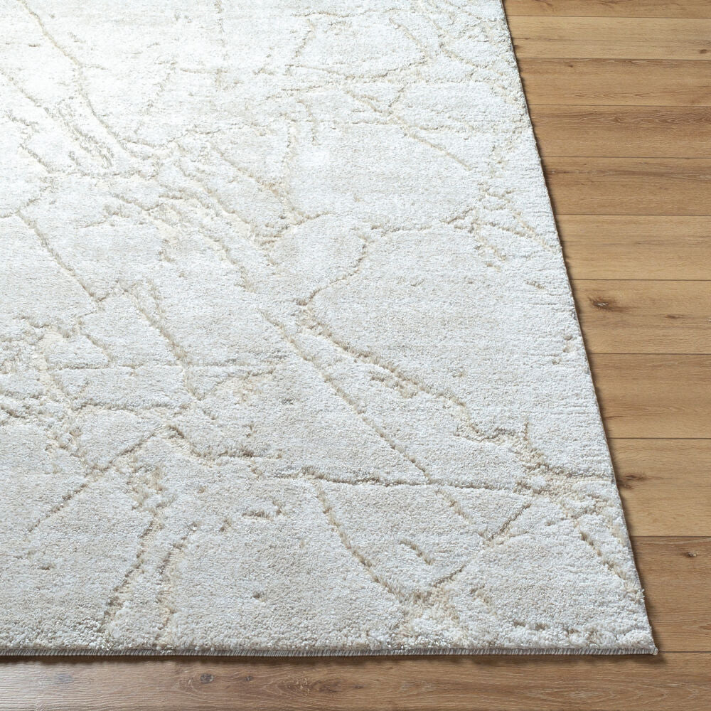 Surya Andorra Plus ARP-2312 Machine Woven Rug