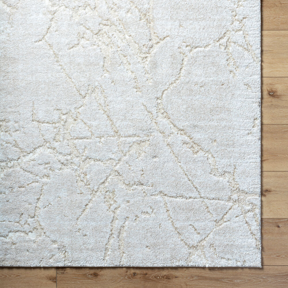 Surya Andorra Plus ARP-2312 Machine Woven Rug
