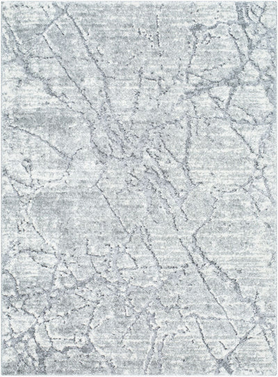 Livabliss by Surya Andorra Plus ARP-2313 Machine Woven Rug