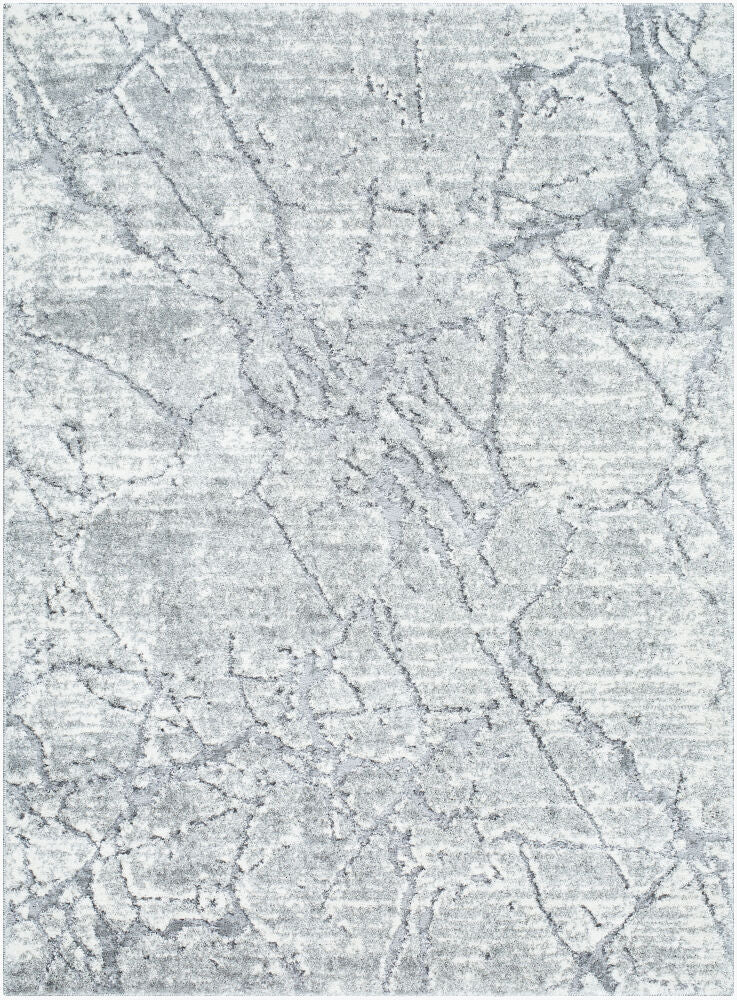 Surya Andorra Plus ARP-2313 Machine Woven Rug