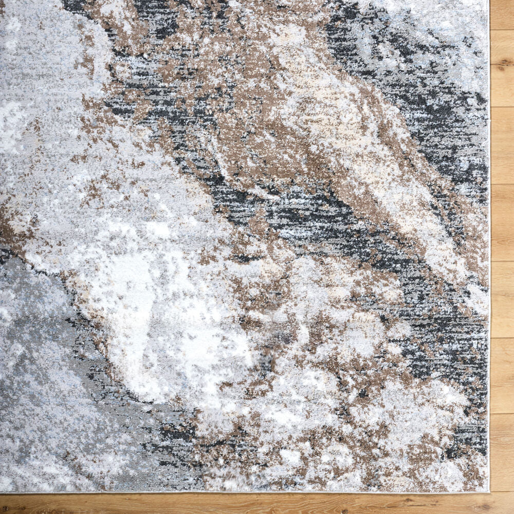 Surya Andorra Plus ARP-2317 Machine Woven Rug