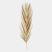 Global Views Antique Brass Palm Leaf