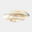 Global Views Maura Oval Bowl by Ashley Childers