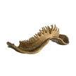Arteriors Mako Sculpture