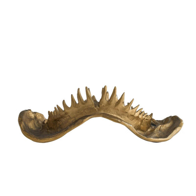 Arteriors Mako Sculpture