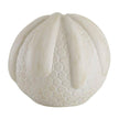Arteriors Faye Sculptures, Set of 2