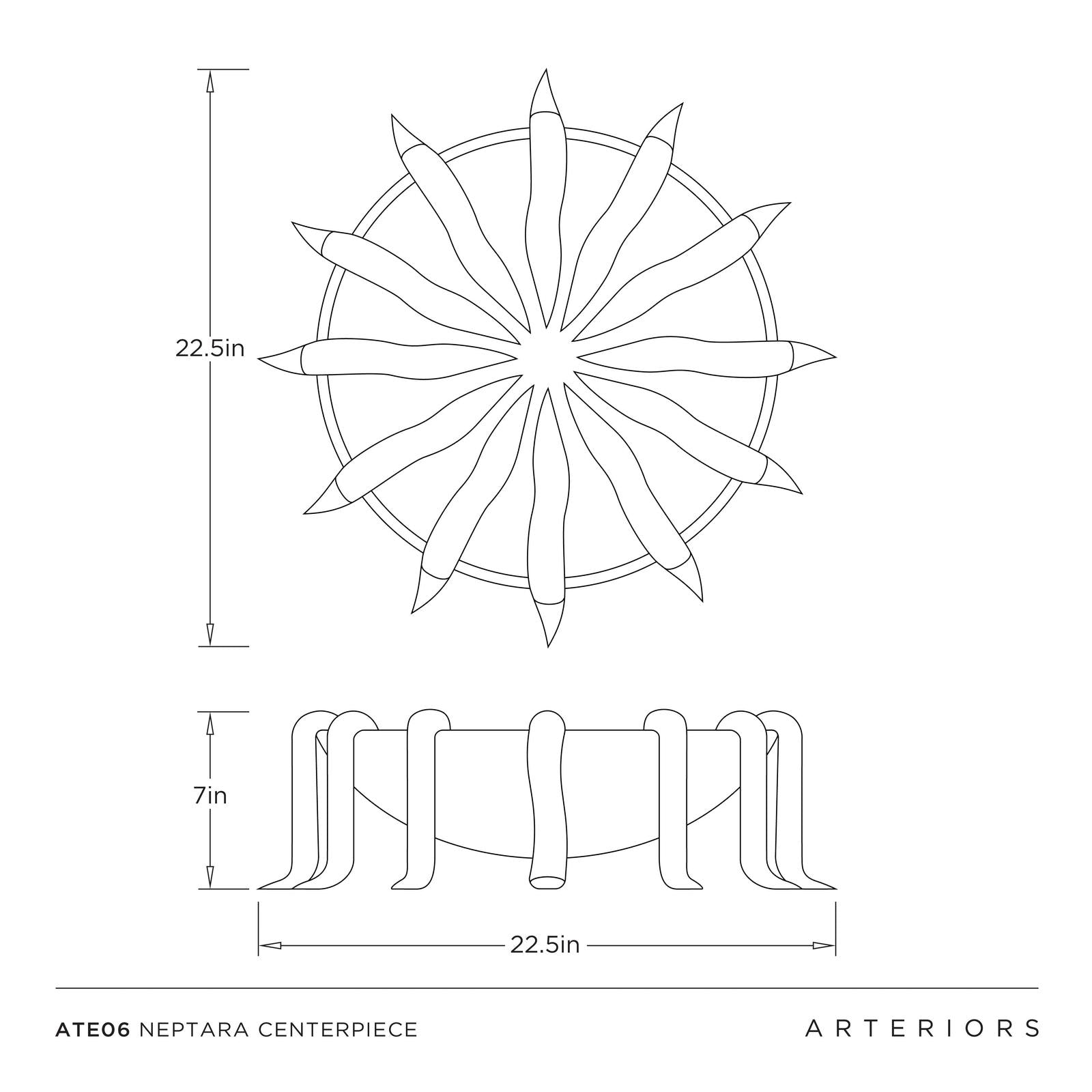 Arteriors Neptara Centerpiece