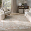 Nourison Infinite IFT01 Vintage Indoor Rug