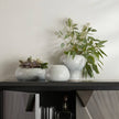 Arteriors Dandy Vases, Set of 3