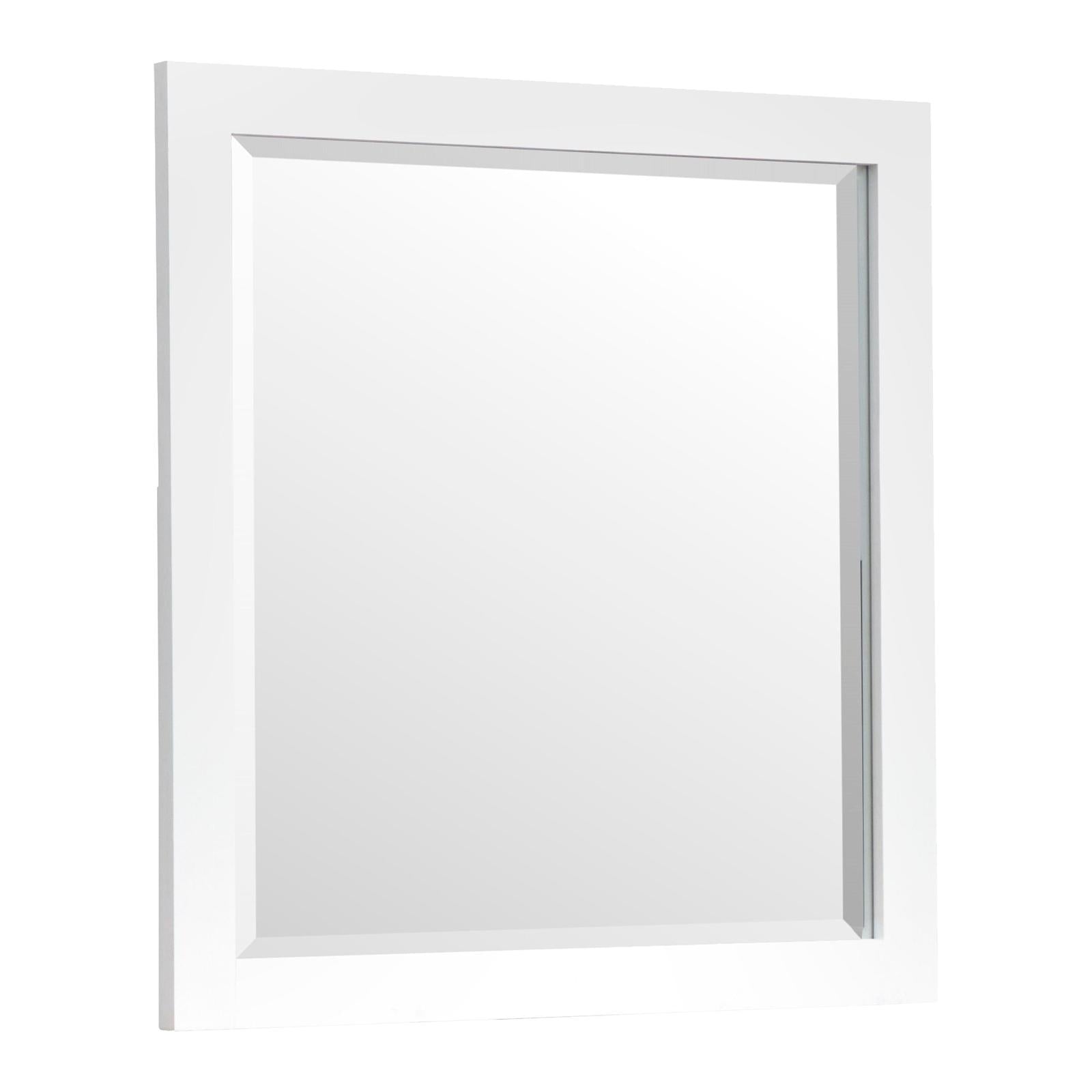 Salt Life Home Windmill Harbour White Whisp and Sand Double Drawer Dresser with Portrait Mirror Sale